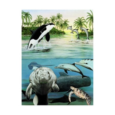 Trademark Fine Art Patrick Sullivan 'Sea Life Tropical' Canvas Art, 24x32 ALI45437-C2432GG
